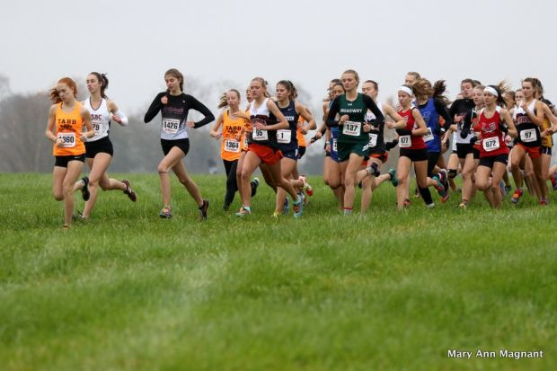 Abigail Seigel running in the regional Cross Country.