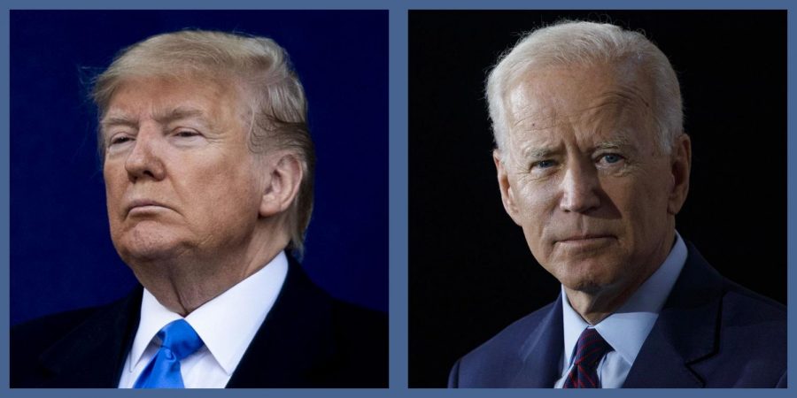 Donald+Trump+%26+Joe+Biden-