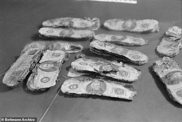 DB Coopers money found on a bank in Washington state. (Credit: Daily Mail)