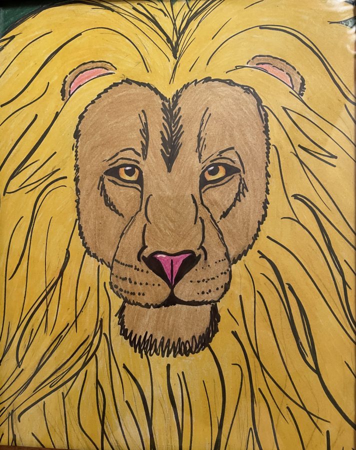 Lion by Lexi Warnecki