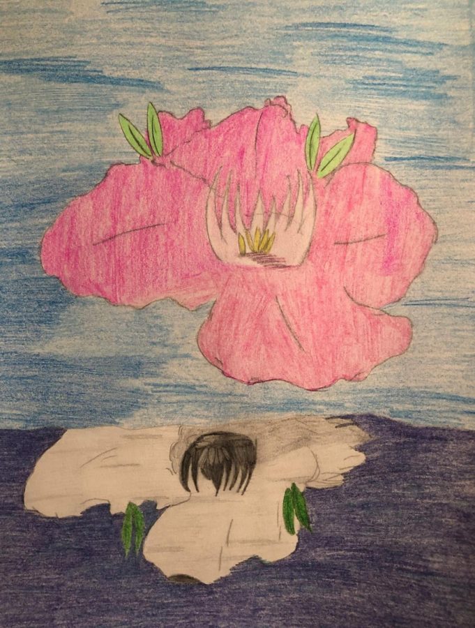 A+drawing+of+a+flower+and+its+reflection.+By%3A+Natalie+Bashore