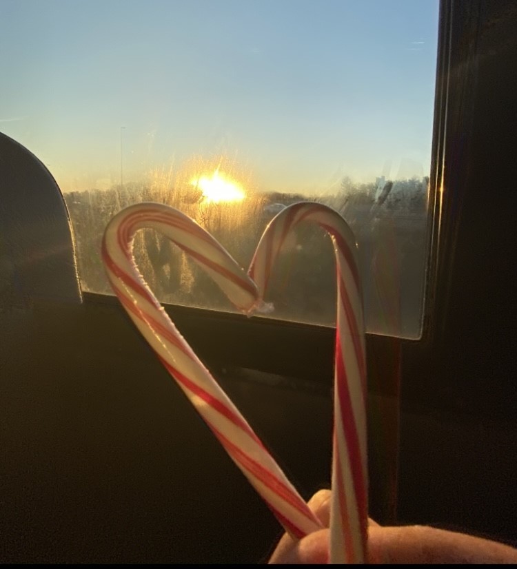 Candy canes brought together in a shape of a heart.
