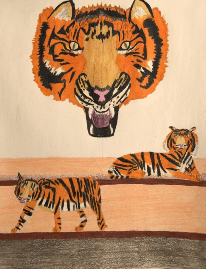 Tiger Pride by Natalie Bashore