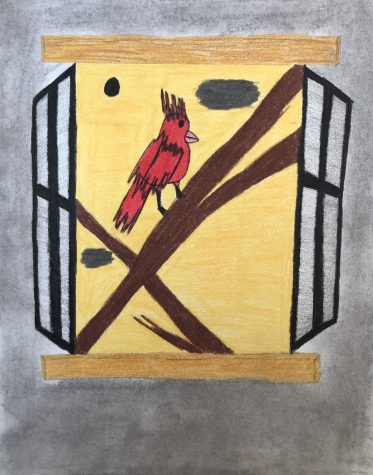 A drawing of a cardinal near a windowsill. Art by Natalie Bashore